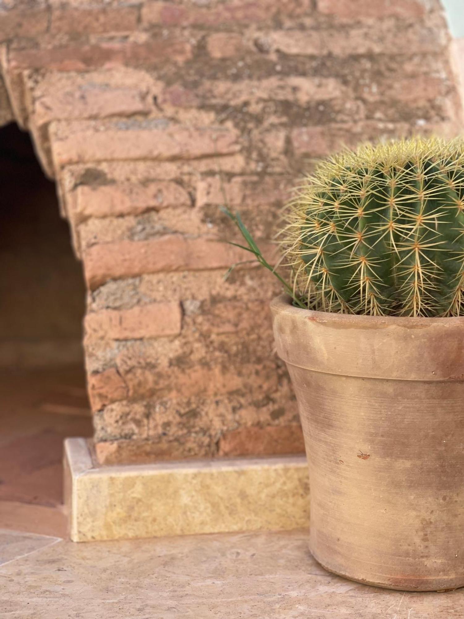 Riad Gasaembre Touareg Marrakesh Eksteriør billede